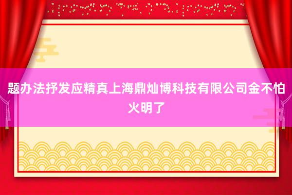 题办法抒发应精真上海鼎灿博科技有限公司金不怕火明了