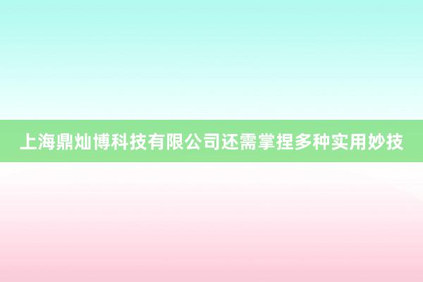 上海鼎灿博科技有限公司还需掌捏多种实用妙技