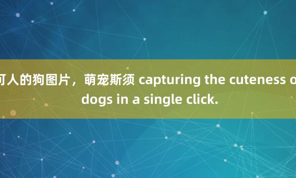 可人的狗图片,萌宠斯须 capturing the cuteness of dogs in a single click.